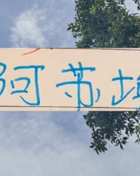 还差一个外援！到时候是阿苏埃出现 还是申花新的大鱼上岸？|上海申花|阿莱士-特谢拉-桑托斯|上海申花足球俱乐部|托尼·罗伯茨|马纳法_新浪体育_新浪新闻