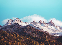 真人百家乐游戏官网：极致沉浸的真人对决体验